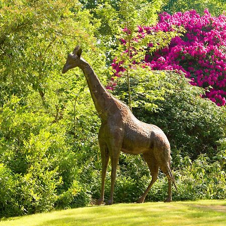 リングウッド Tyrrells Park Bed & Breakfast エクステリア 写真