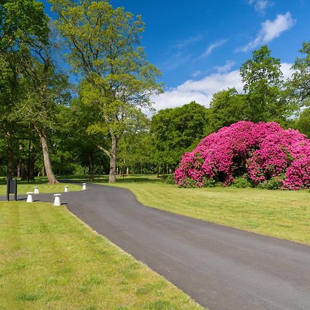 リングウッド Tyrrells Park Bed & Breakfast エクステリア 写真